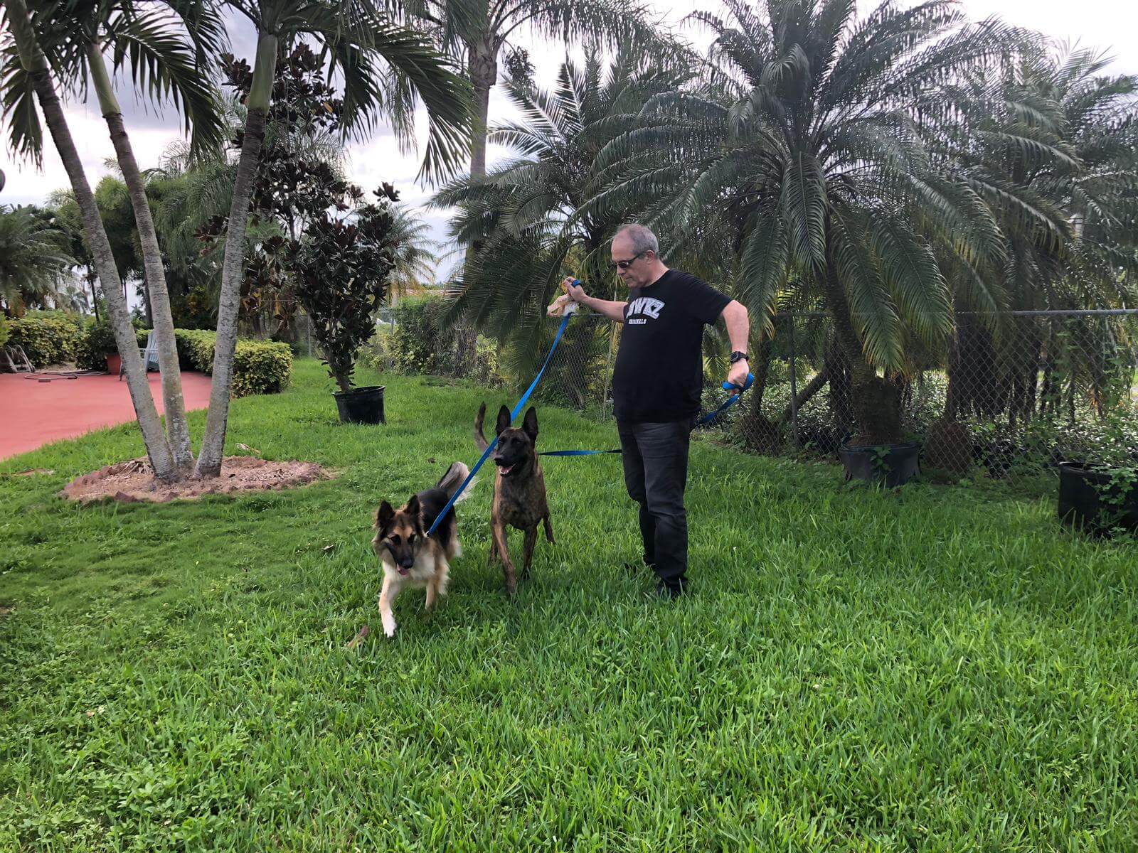 Pet Transport & Care Pet Cargo